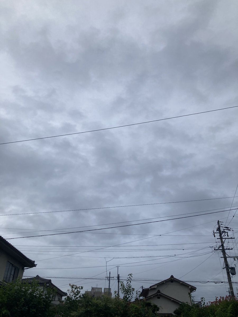 rhythm0268's tweet photo. おはようございます。
雨は上がりましたが、今にもまた降りそうな7月初めての月曜日。
今日はこのまま涼しくて雨がちな一日になりそうです。
梅雨らしい日ですね。
皆さま今週も今ご安全に😊 https://t.co/FI1J32u8zo