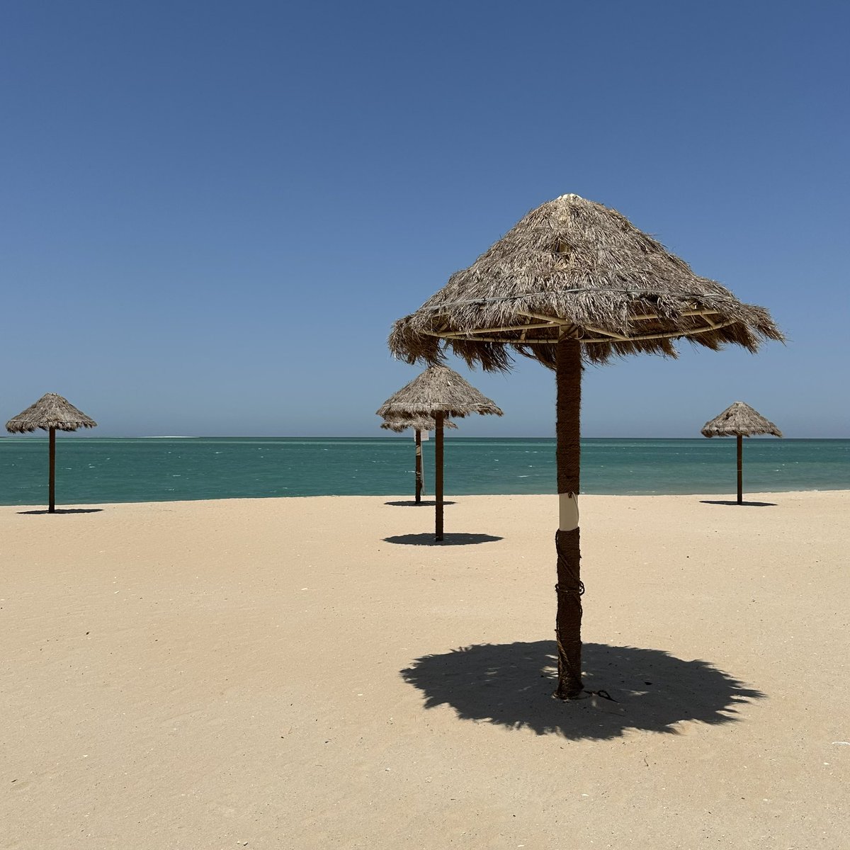 shjoonmw's tweet photo. - Al Khobar -
🌊���☕️🥐☀️ https://t.co/qsbZ49yKVi