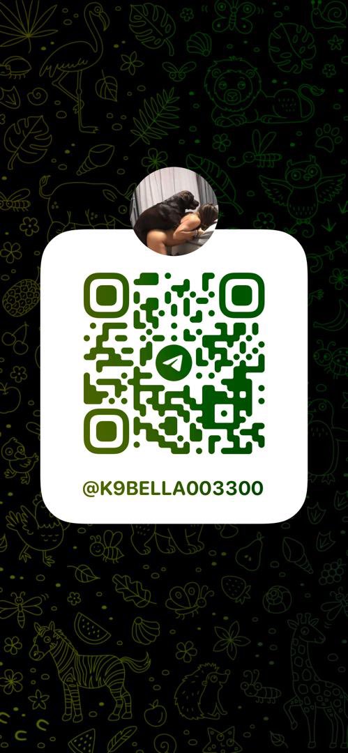 sweetperry0033's tweet photo. All I want for this month is to be knotted by a huge doggy cock
#dog #k9 #dogknotting #zoo #zoophille #zoophillia #beastiality #nolimits #nsfw #zoophilia #furry #teenagegirls

https://t.co/KnQEwlI1dn

https://t.co/KnQEwlI1dn https://t.co/fi9yLzFCGn