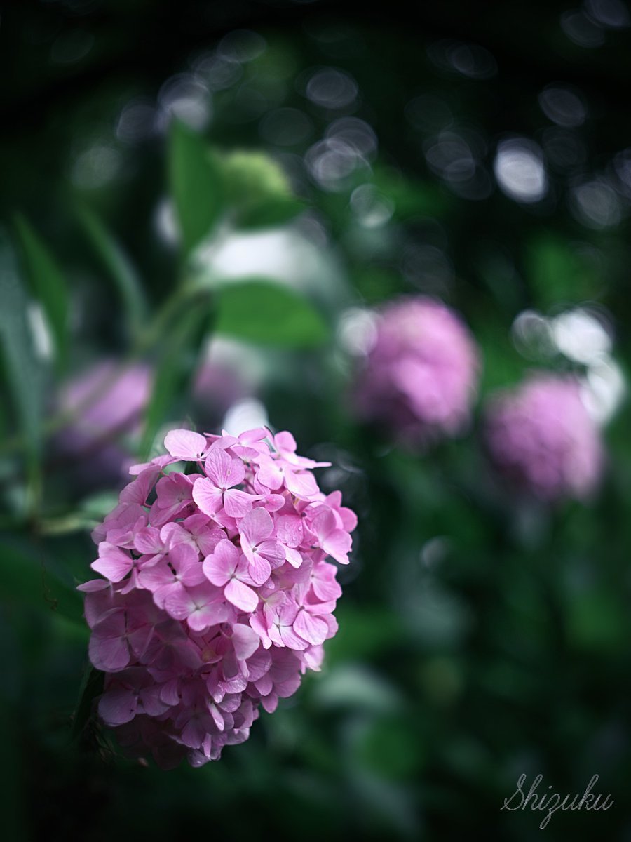 shizuku210815's tweet photo. 雨の日の約束 https://t.co/8ztpXbpsNT