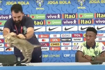 CervezaTipo's tweet photo. Un año mas...

El gato ataca de nuevo https://t.co/gSUIKRwzyx