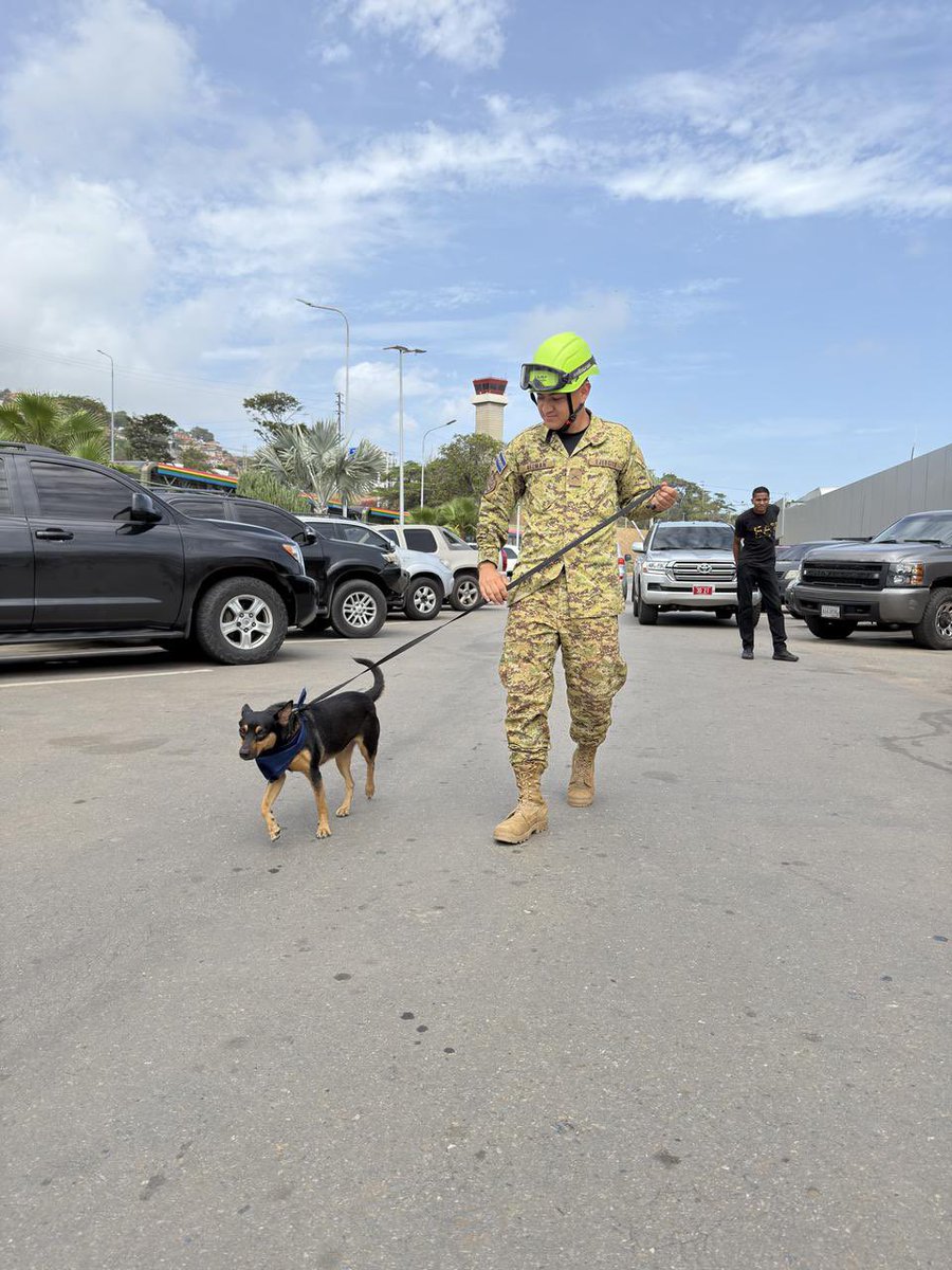 FUERZARMADASV's tweet photo. La Unidad Humanitaria de Rescate no solo salva vidas humanas.

Durante nuestra misión humanitaria en Venezuela rescatamos a Fénix, una hermosa perrita que resurgió de entre los escombros.

A partir de ahora tendrá un nuevo hogar y una gran misión: entrenarse para convertirse en integrante de la UHR y salvar vidas junto a su manada.  

¡Bienvenida a El Salvador!🇸🇻