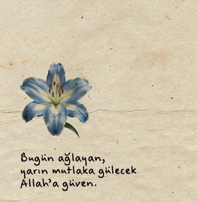 aybukenefes's tweet photo. https://t.co/LxvjJNddN1
