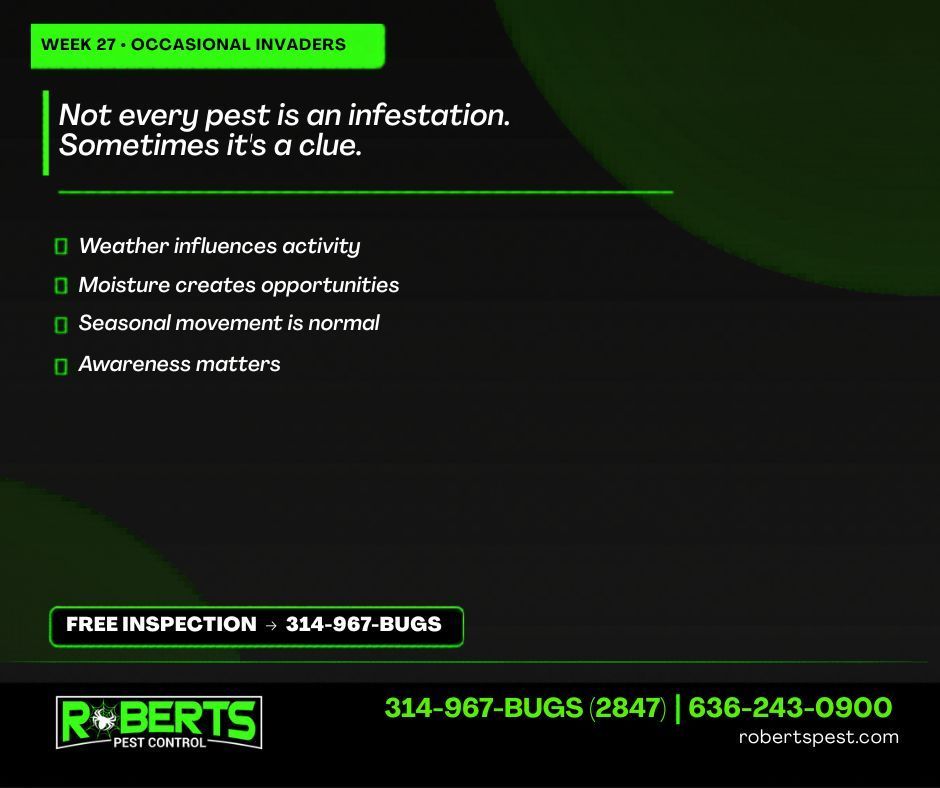 Robertspest's tweet photo. This week, we've explored some of the most common occasional invaders homeowners encounter during June.
636-243-0900 | 314-967-BUGS (2847)
https://t.co/kqi2yyVGoS
#RobertsPestControl #BUGSSTL https://t.co/fLs5gGAxlX