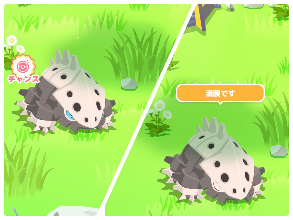 sironekodo's tweet photo. #ポケモンスリープ 
おはようございます
「もうすぐ3周年キャンペーン」ですね〜

寝顔集めたくて久しぶりのトープです(^-^)
今週もがんばりましょう🔥 https://t.co/tMrhUJ2D83