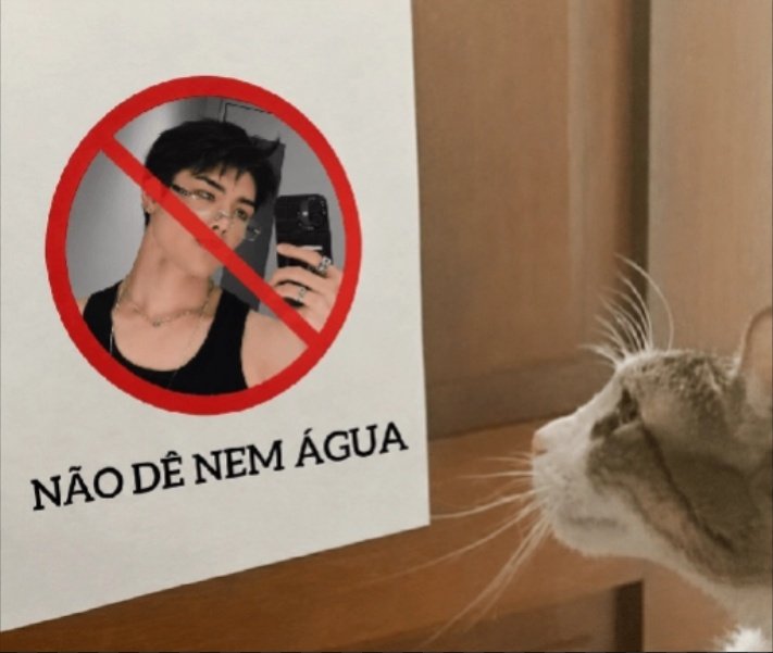 sylwenon's tweet photo. Maki eu espero que vc fique quietinho na sua ou eu vou na sua casa te carecar enquanto tu dorme https://t.co/TlGFrJZpa2