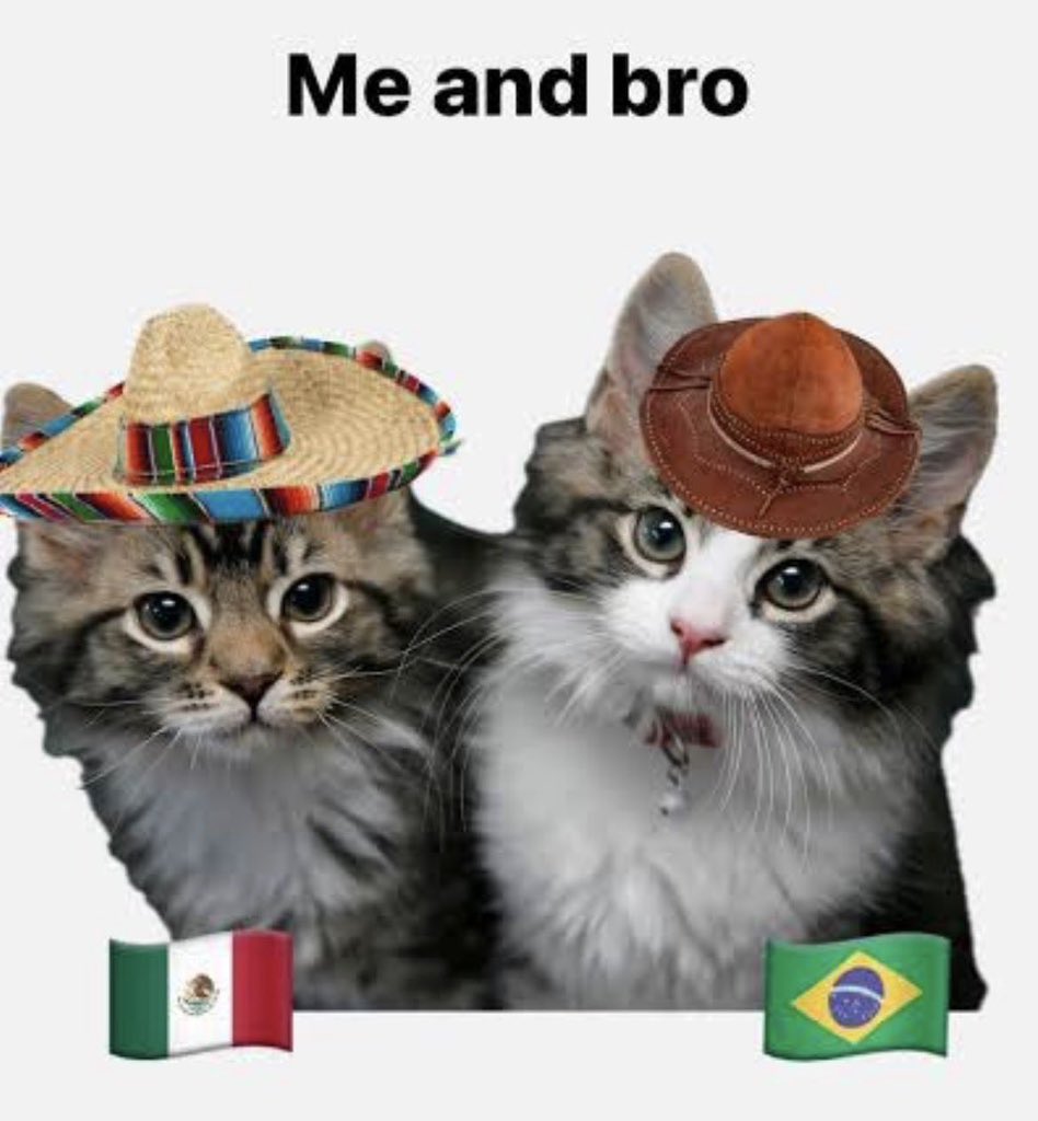 Sand2316's tweet photo. Te quiero mucho Brasil, la sufrí como si fuéramos nosotros 🥺 https://t.co/wgyNkQVU4B