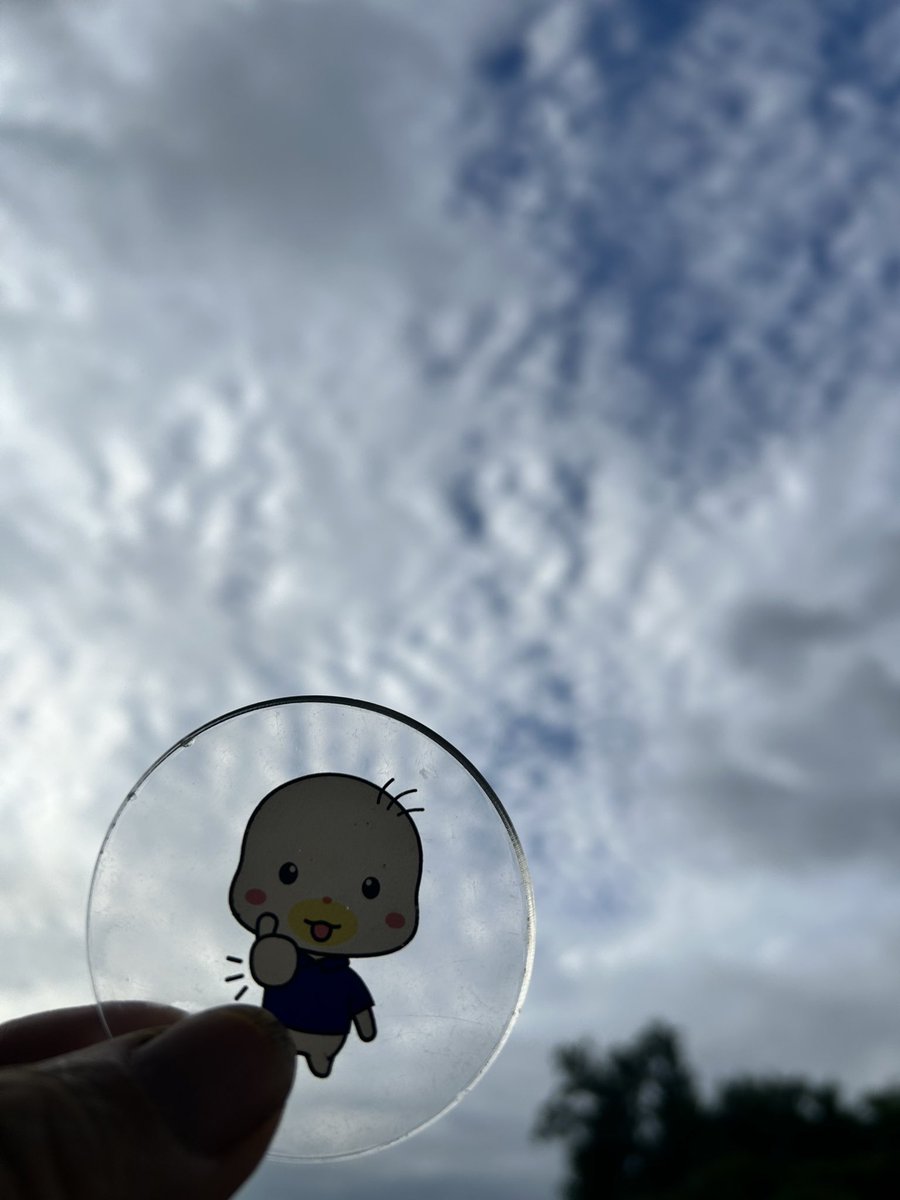 sign_lab's tweet photo. おはようございます
本日の #大分市 は雲多めな晴れです

今日は #サラダ記念日 
俵万智のサラダ記念日の一節から

このポストがいいねと
君が押したから、いいね記念日💕︎

週の始まり、月曜日
今週も頑張っていきましょう♪

#企業公式が毎朝地元の天気を言い合う
#イマソラ
#企業公式相互フォロー https://t.co/OsSWsoICOv
