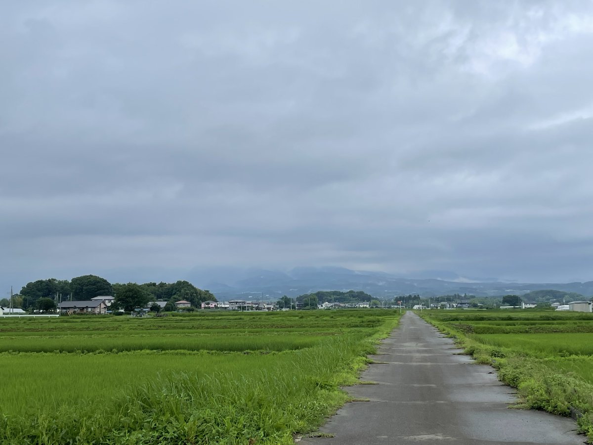 skyriverAMA's tweet photo. おはようございます😃
本日も曇り☁️ 日差しはなく
肌寒い朝です

赤城山⛰️さんも、雲☁️の中
でも、麓の方は、見えています

今日、会社の駐車場に車🚙を
入れていたら下の空き地に
イノシシ🐗の親子か
数が多くてビックリ‼️
瓜坊もいた https://t.co/vlV9xphrm6