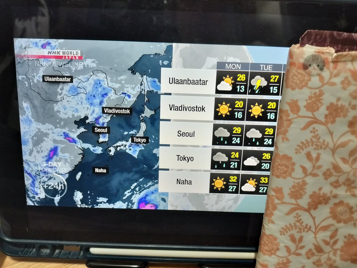 toeic48withrg's tweet photo. おはようございます😊今朝は気分を変えてNHK WORLD JAPANを視聴しながら脳を起こしてます🎵😪#TOEIC48 #英語学習 #TOEIC #社会人英語 #金フレ #Anki #TOEICer #アラフィフ https://t.co/ykng4NBBqL
