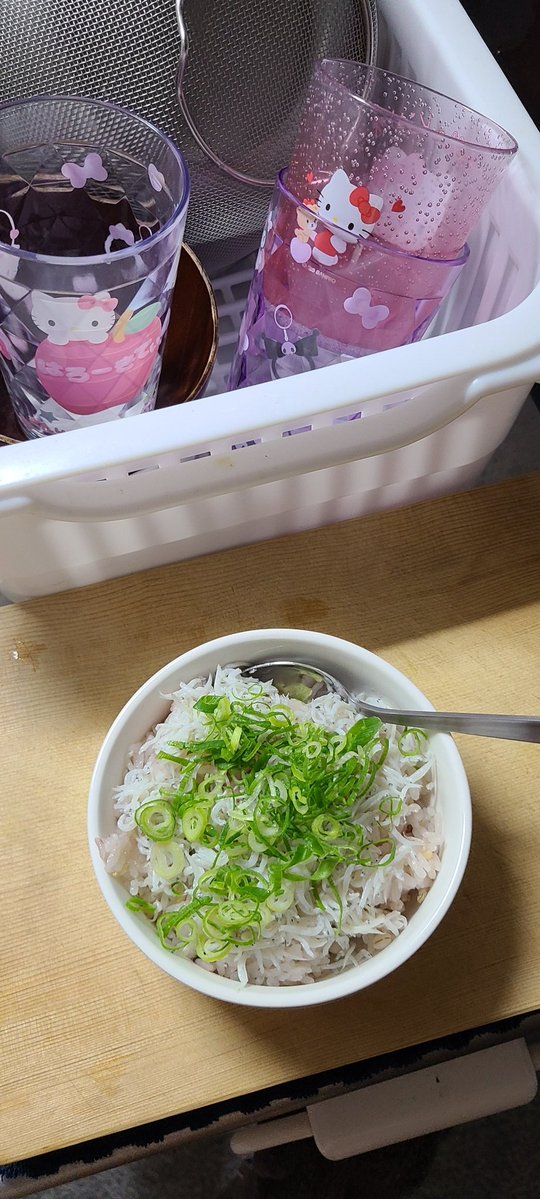 riesan1104's tweet photo. しらすご飯を食べました🙂おわり。 https://t.co/Q8SZwEGeqc