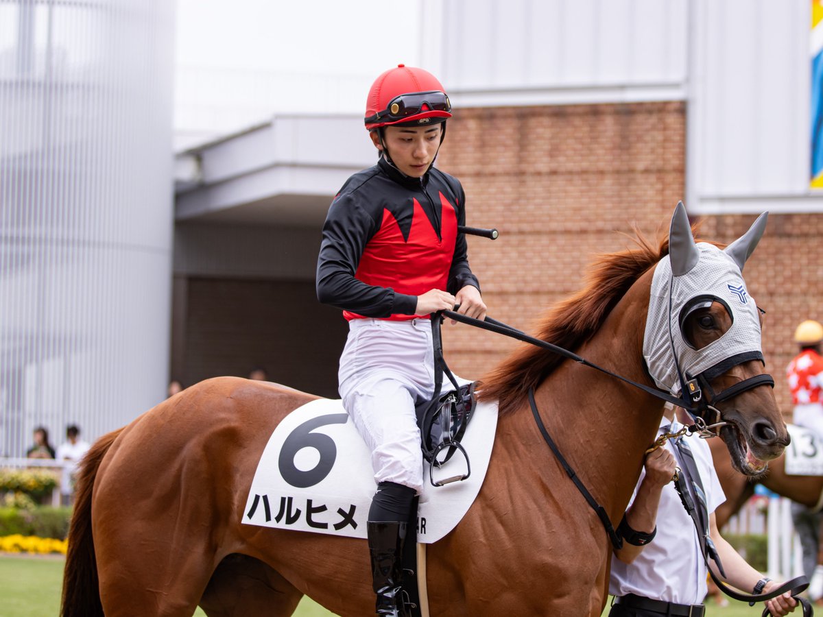 Koocham1112's tweet photo. 2026.07.05 函館競馬場

ハルヒメ
長浜鴻緒騎手

#ハルヒメ
#長浜鴻緒
#矢嶋大樹厩舎 https://t.co/aTeLKhoI5F