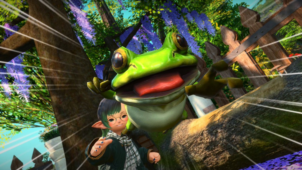 Blu5Mi5t's tweet photo. FIGHT! GO FERG! 🐸 https://t.co/cPJmPxYdqG
