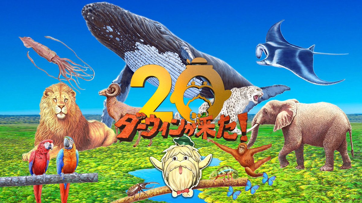 oricon's tweet photo. NHK『ダーウィンが来た！』制作チーム
『動物学教育賞』を受賞
⠀
テレビ番組として初の快挙
動物学の普及と教育への貢献が評価
https://t.co/F1bP9M9Bps
⠀
#ダーウィンが来た https://t.co/ximeangDwD