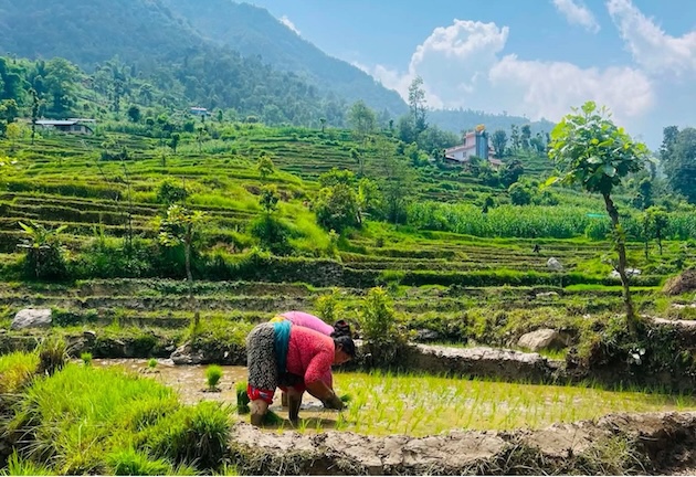 ipsnews's tweet photo. Most‑read stories and must‑reads in our weekly newsletter:
➡️Building Peace Infrastructures: African Leaders Reflect on Peacebuilding; 
➡️The UN Climate Talks in Bonn Just Failed. Why?; and more 👇
https://t.co/bqKkJsbnwB https://t.co/zAGDUsS5gP