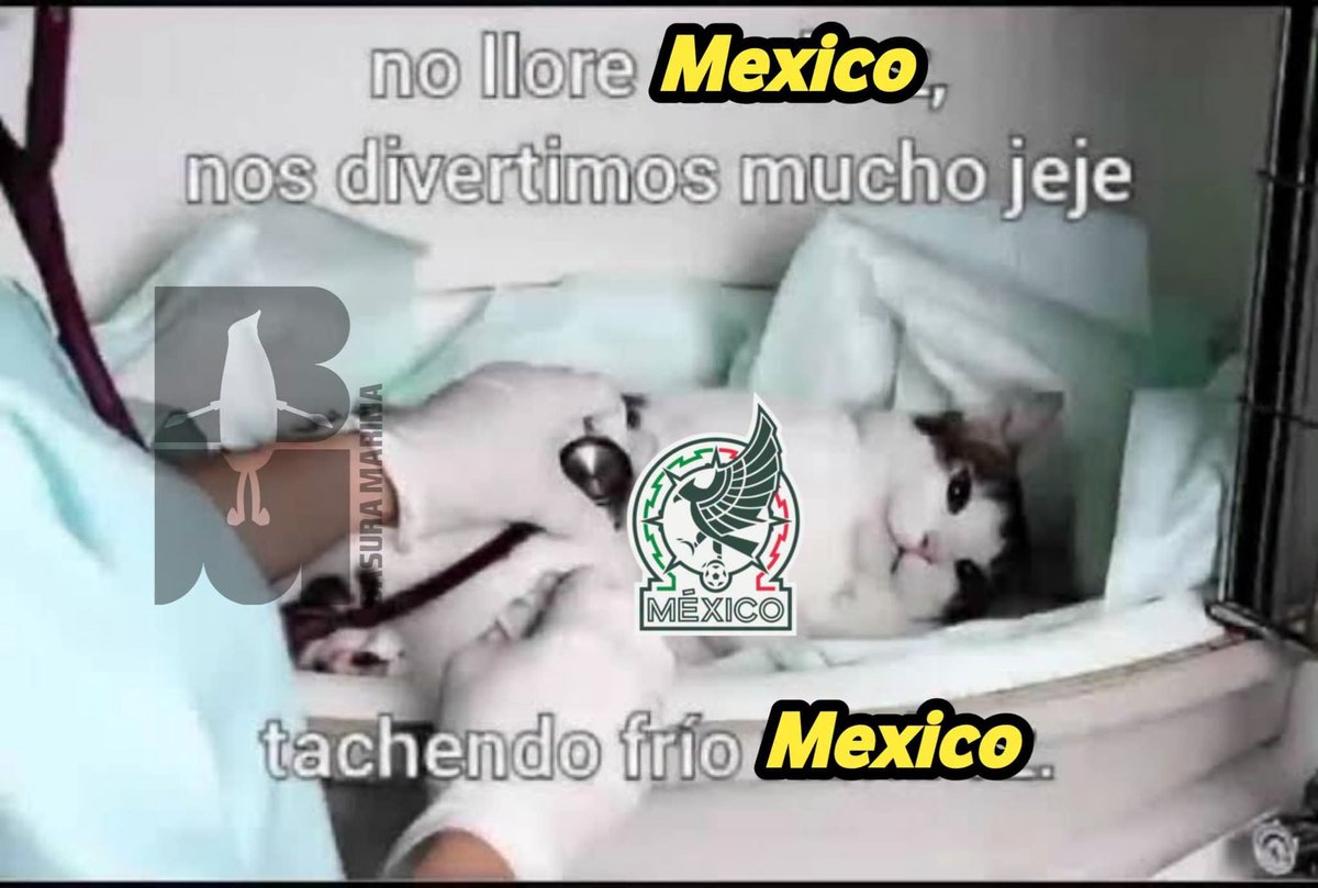 ThoruVT's tweet photo. Bueno... se intento

#México #mundialdefútbol2026 https://t.co/SIntLVWH0y
