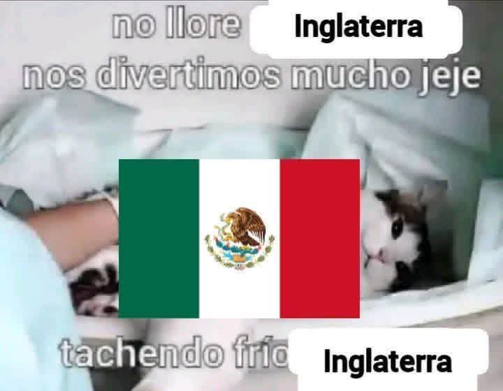Otakus y Mundial Del Dia a Dia tweet media