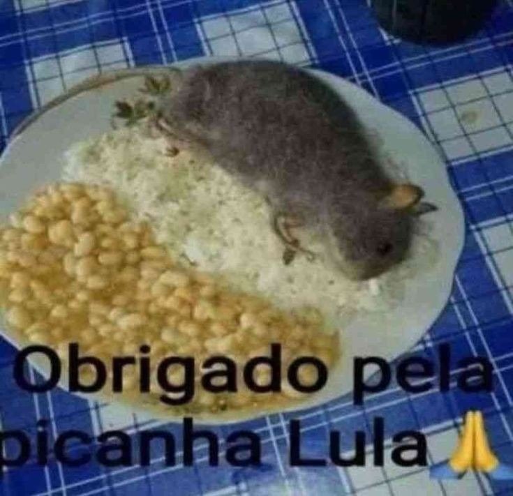 nyracult's tweet photo. obrigado pela picanha rhaenyra 🙏 https://t.co/fdpEe2hD23