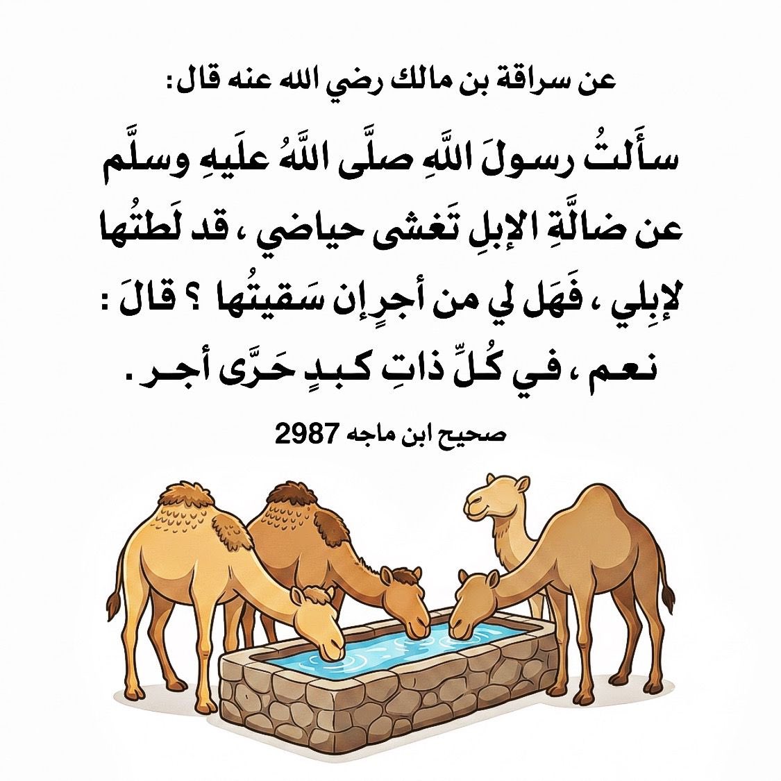 dsj_vb's tweet photo. #دعوه_لسعود_العتيبي https://t.co/YvWk7X6nJL