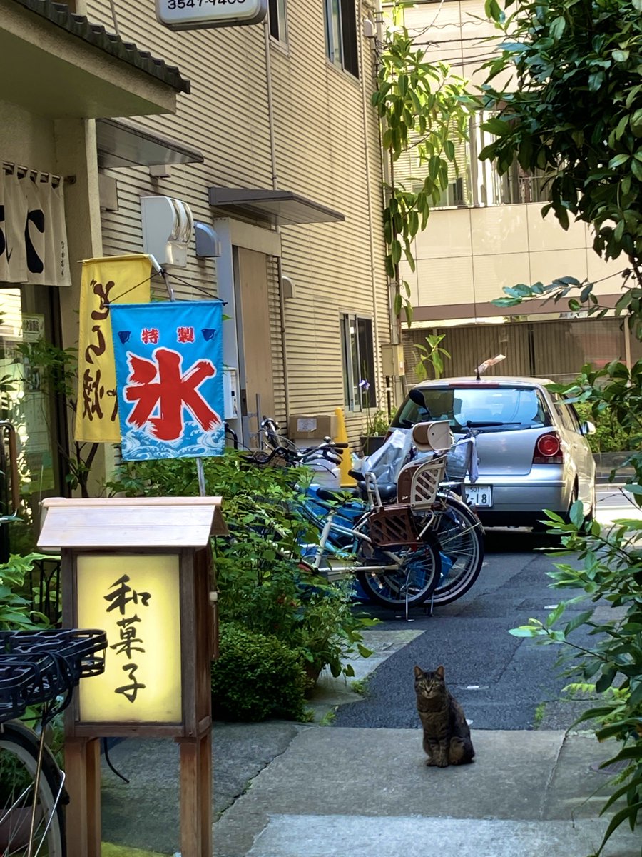 kobikicho_y's tweet photo. 歌舞伎座裏の日常をご覧下さい。 https://t.co/crNLoGspcS