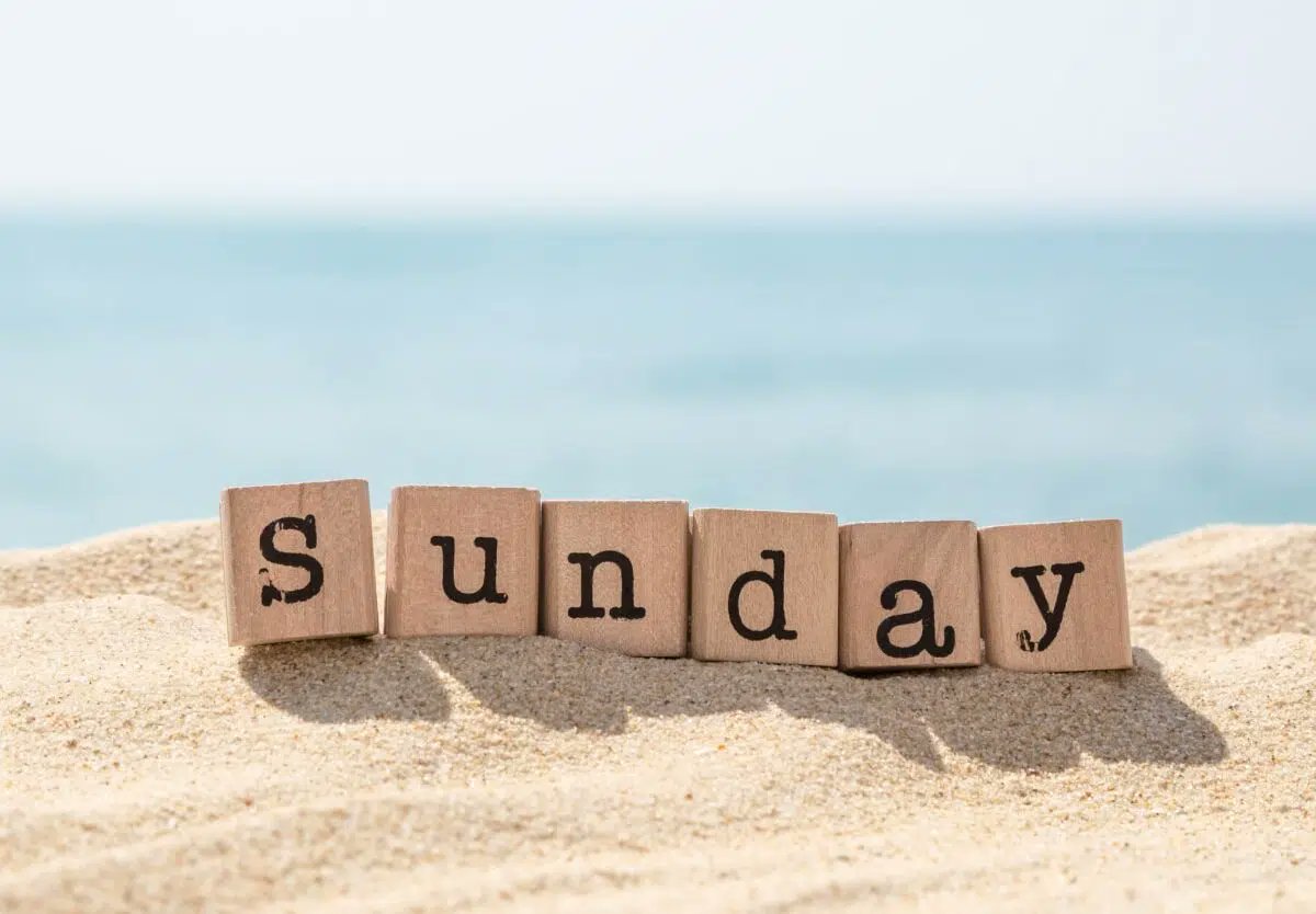 CheranSanketh's tweet photo. Happy Sunday Guys ☀️💛 https://t.co/tZJWywLPpq
