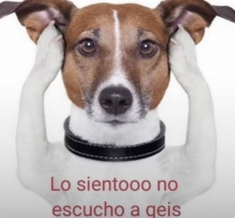 tasteebackl's tweet photo. Todos los ingleses baneados de mi Apple Music https://t.co/eMIxiK9eKn