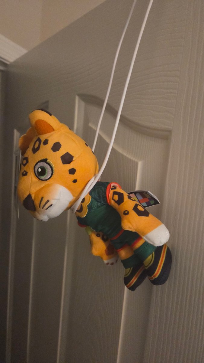 KyTyger's tweet photo. Se acabó 😔 https://t.co/ox0D13Cy9v