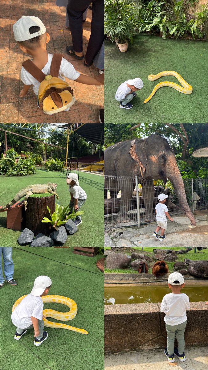 nrsyfzaaa's tweet photo. ALEE SHERIF's birthday trip to Malacca🐘✨
Happy and sihat selalu Alee sayang❤️

A big thankssssss to superbaba!
Thankyouuu so much sayang😘
Me and Alee loveeee youuu baba🫶🏻 https://t.co/lCtb5slGZt
