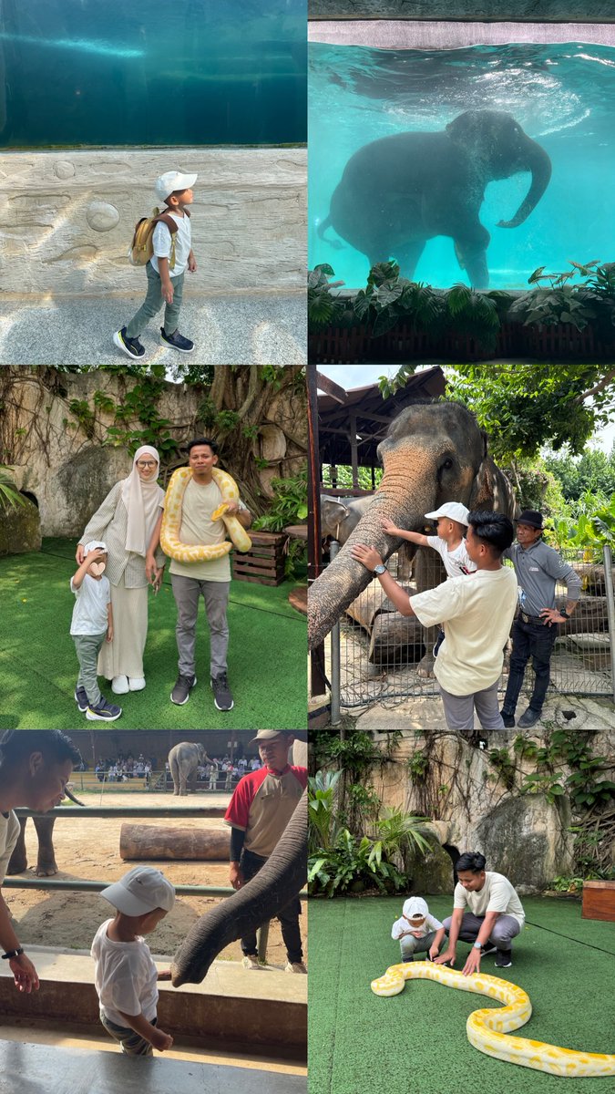 nrsyfzaaa's tweet photo. ALEE SHERIF's birthday trip to Malacca🐘✨
Happy and sihat selalu Alee sayang❤️

A big thankssssss to superbaba!
Thankyouuu so much sayang😘
Me and Alee loveeee youuu baba🫶🏻 https://t.co/lCtb5slGZt