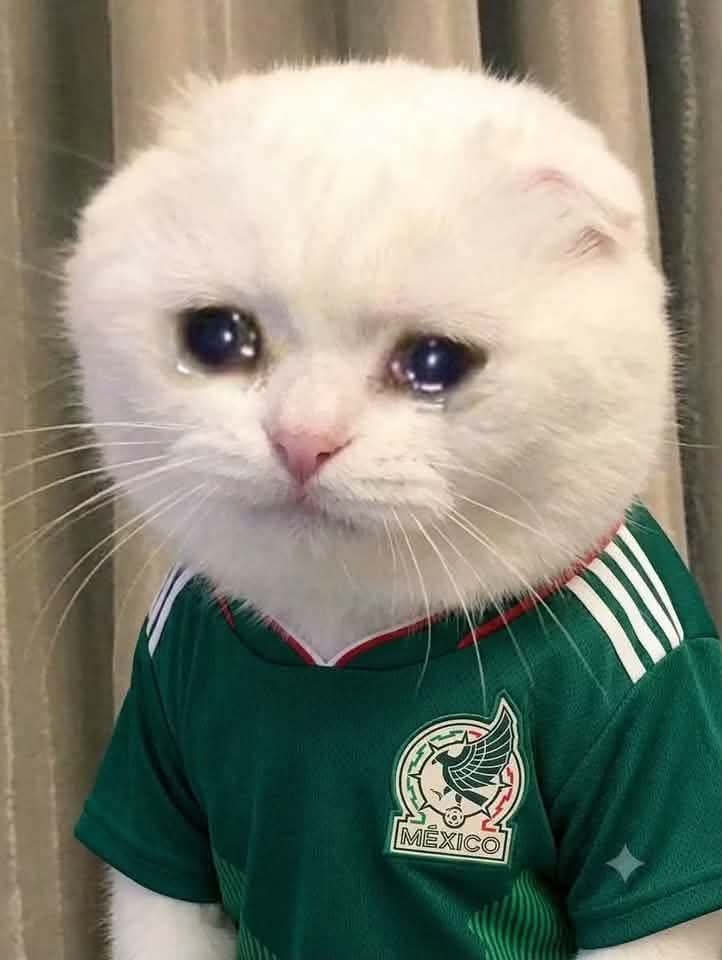 NegritoTuitero's tweet photo. Vendo Jersey de México...

Sólo tiene 5 puestas... 
#México

🥺
#MEXENG #SelecciónMexicana #Raul #Quiñones https://t.co/Zh7duT4Zwk