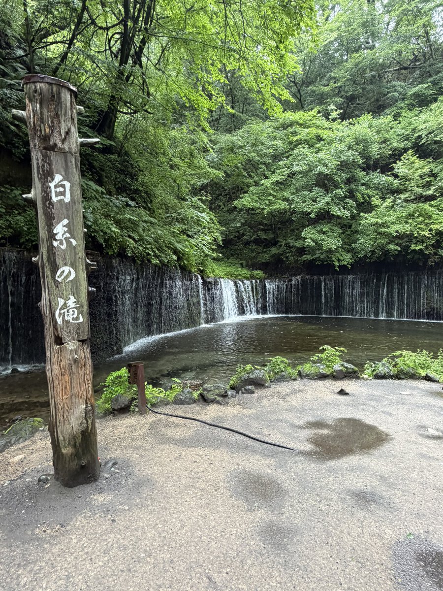 takapy006410's tweet photo. #山崎育三郎
#いくとも
昨日からの雨で滝に勢いがありました
平日でも観光客はそれなりにいました https://t.co/MHJshUEsig