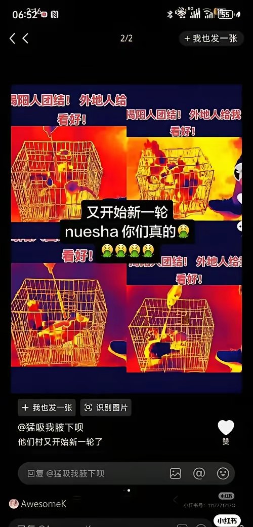 李丹 互fo tweet media