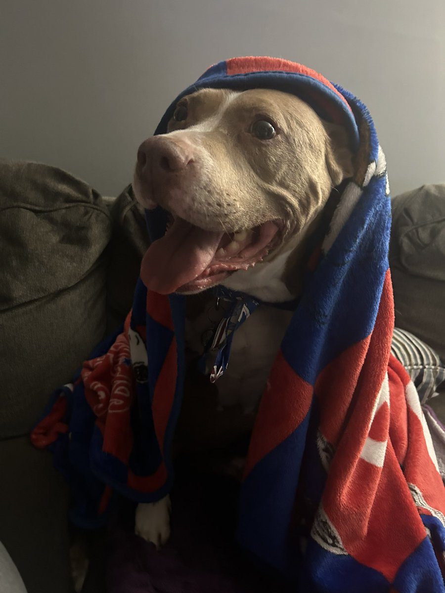 pumpkinpiepit's tweet photo. I am panting v heavily bc of the storm!!!!! I am v scared!!!!! https://t.co/VLy7xB6XtQ