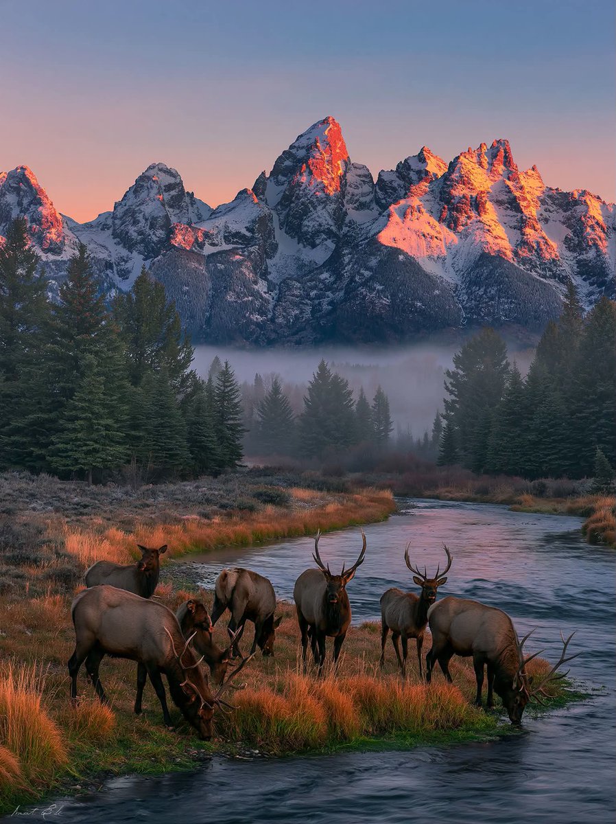 ScienceAndNatu7's tweet photo. Grand Teton National Park in Wyoming 😍 https://t.co/ecZhuG8tXJ
