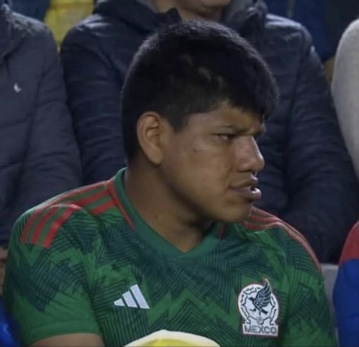 lvshobio's tweet photo. Mexicanos trompudos
Y esta es sin IA, eh 😹🫵 https://t.co/ANJVLYRc6S