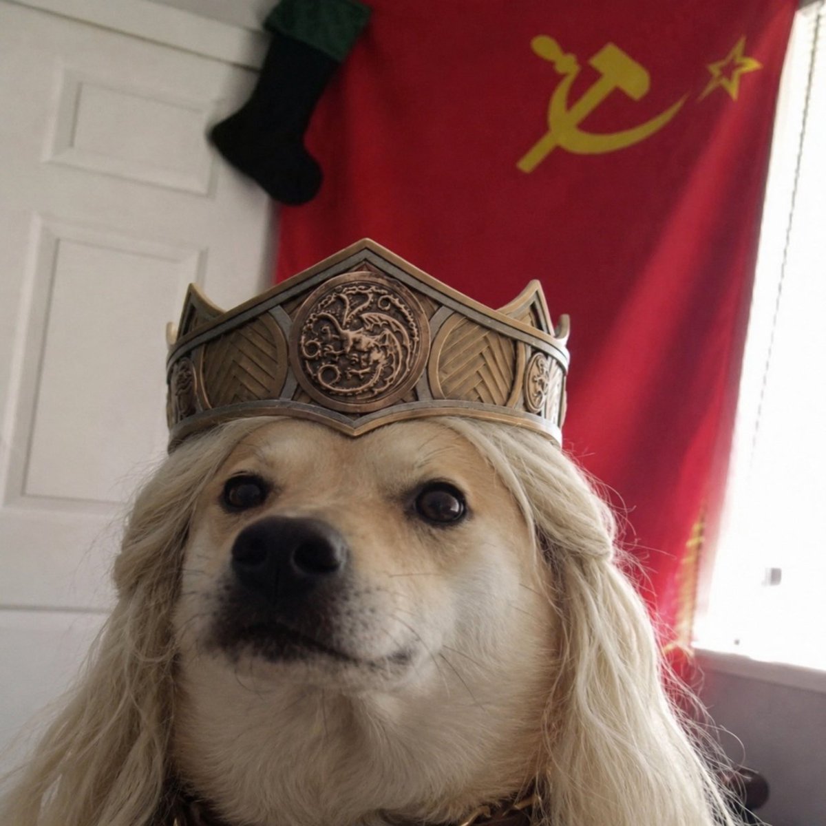 ernestoserrano_'s tweet photo. Rhaenyra tomando la riqueza de las casas nobles para repartirlas con el pueblo #HouseOfTheDragon #HOTD https://t.co/LRbHCW9p8h