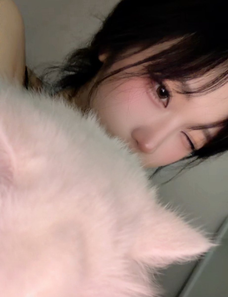 red_bell03's tweet photo. 야옹아 멍멍해봐 🐈 https://t.co/SHPnqT1Huz