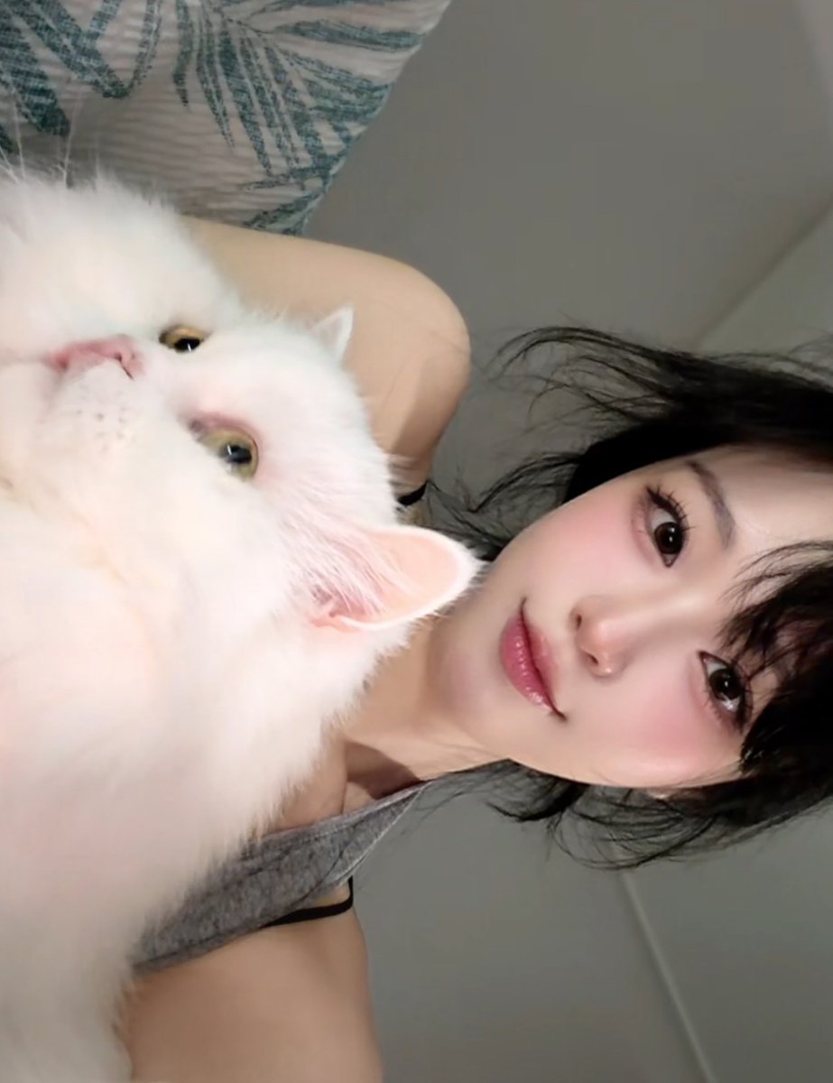 red_bell03's tweet photo. 야옹아 멍멍해봐 🐈 https://t.co/SHPnqT1Huz
