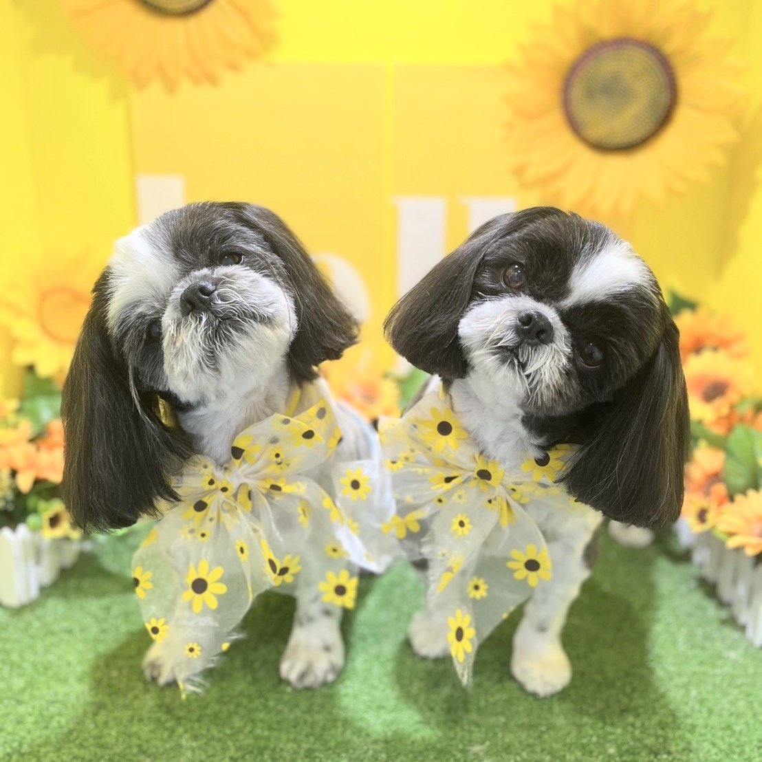 thumb_up_93's tweet photo. #新しいプロフィール画像 https://t.co/hua1tnU09s