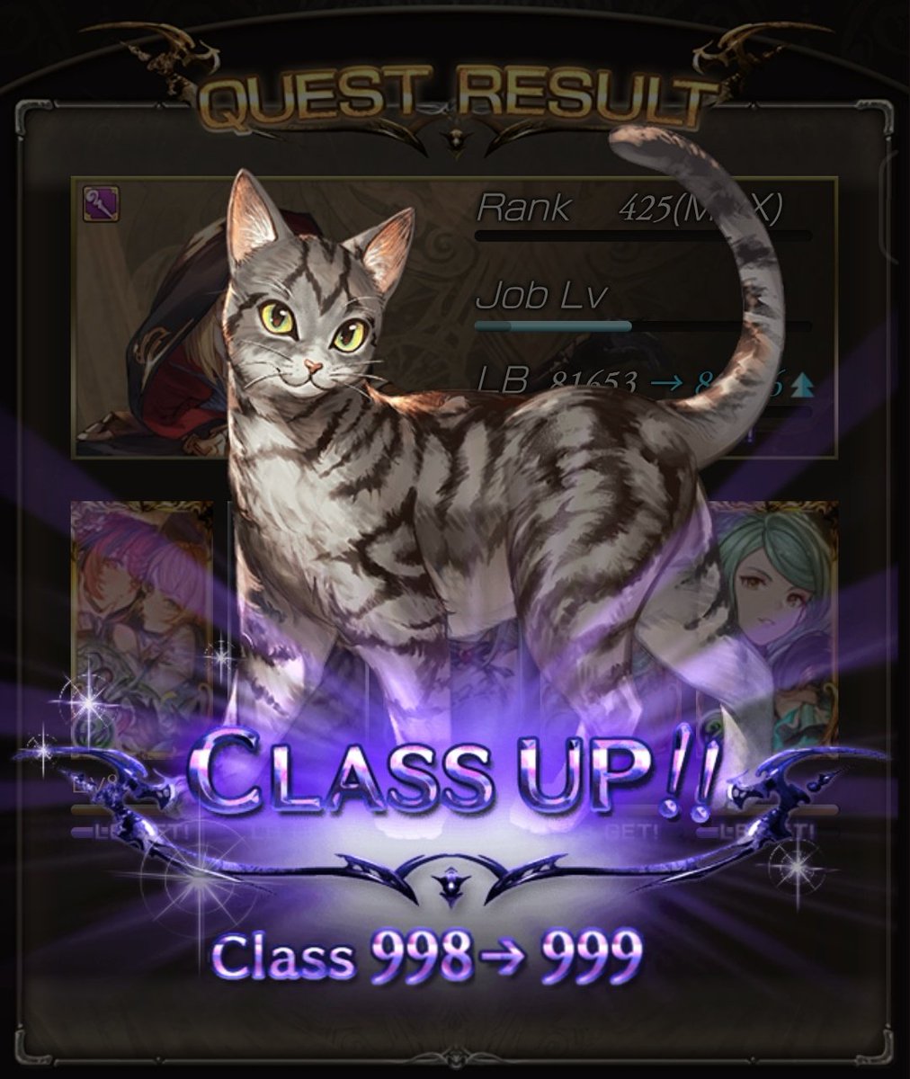 _kuyu_'s tweet photo. 猫引退！ https://t.co/0la48BVsyn