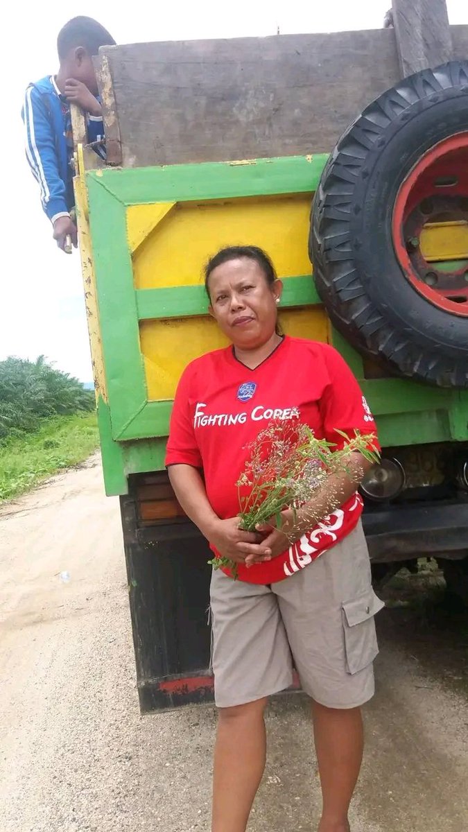 Irwan3xj's tweet photo. Tante kampung harapan.. Nabire Papua tengah..siap melayani... lobangnya dangkal enak🤤🤤 https://t.co/IIt8Yf4jtC