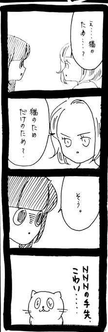 どうしても保護猫を迎えたかった知人の話41 
