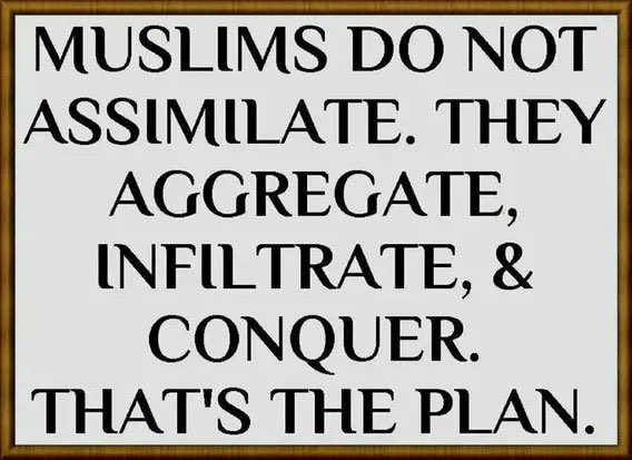 SoFlaHockeyFan's tweet photo. @AntiWokeMemes Some “Islamophobia” is healthy. 

A country that gets comfortable with Islam gets taken over but Islam. That’s their plan. That’s what they do. https://t.co/bJ8jrJGqBF