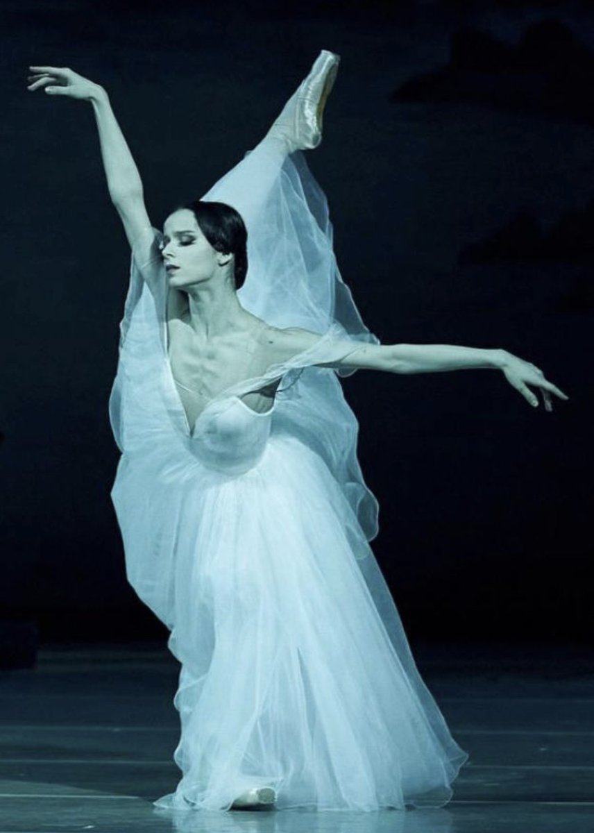 maya1432111's tweet photo. if you are a dancer, just remember that recital season is coming up, and no one is going to pay to watch a pig in a tutu 🩷 #edr https://t.co/qodxluDIcY