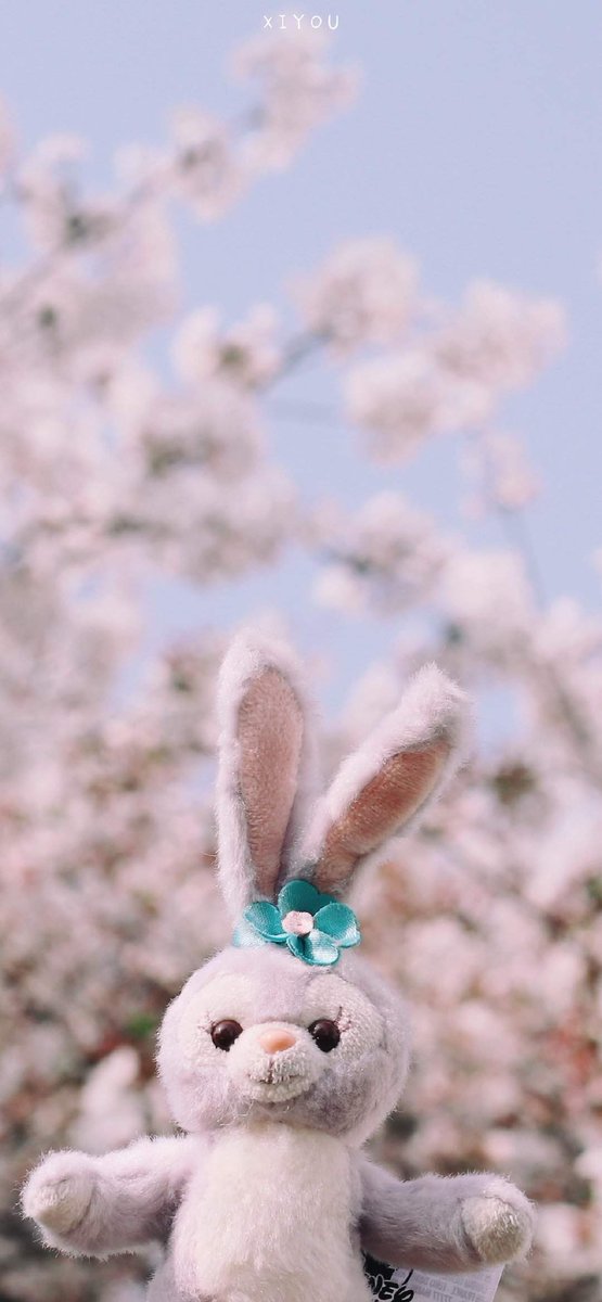 HeyItsMeFe's tweet photo. 🌼 🤌 👌 💍 Life upgrade: What if your focus is worth protecting like money? Let the proof be quiet. https://t.co/vfPdZsvVDy
