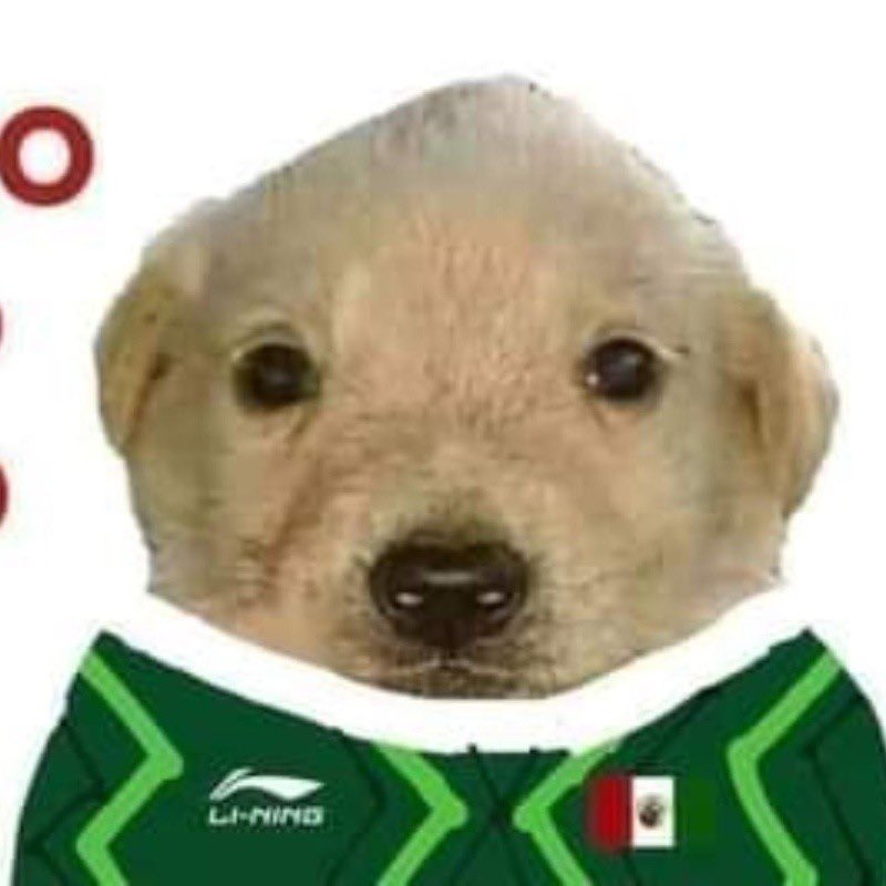 hellowispam's tweet photo. @miseleccionmx lqm weyes. Gracias por la ilusionada, pero como todo en la vida, se gana o se pierde. Orgullosa de esta selección y que chinguen a su madre los lloros que no pasan a octavos jiji 🫶🏻

#SelecciónMexicana https://t.co/M5h87CMsml
