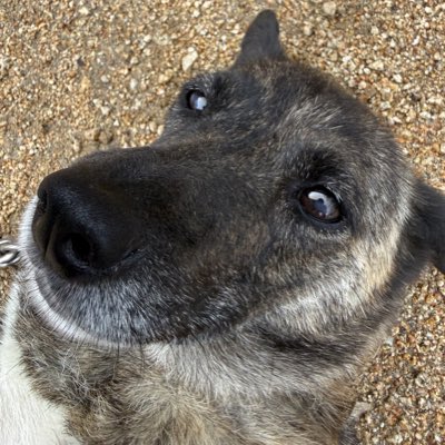 Rela_yuki's tweet photo. #新しいプロフィール画像 https://t.co/wnAtbNGrp4