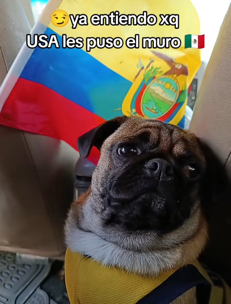 destry2468's tweet photo. @whatdafaqshow Hoy si les tocó jugar, pero eso no quita lo lacras que se comportaron con toda la afición contraria en este mundial y con su propia gente https://t.co/qOGxTNXj4z