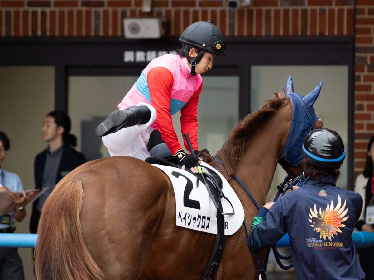 Koocham1112's tweet photo. 2026.07.05 函館競馬場

ペイシャクロス
長浜鴻緒騎手

先出しで写真ほぼ撮れず😢

#ペイシャクロス
#長浜鴻緒
#粕谷昌央厩舎 https://t.co/cdsA8hUBxf