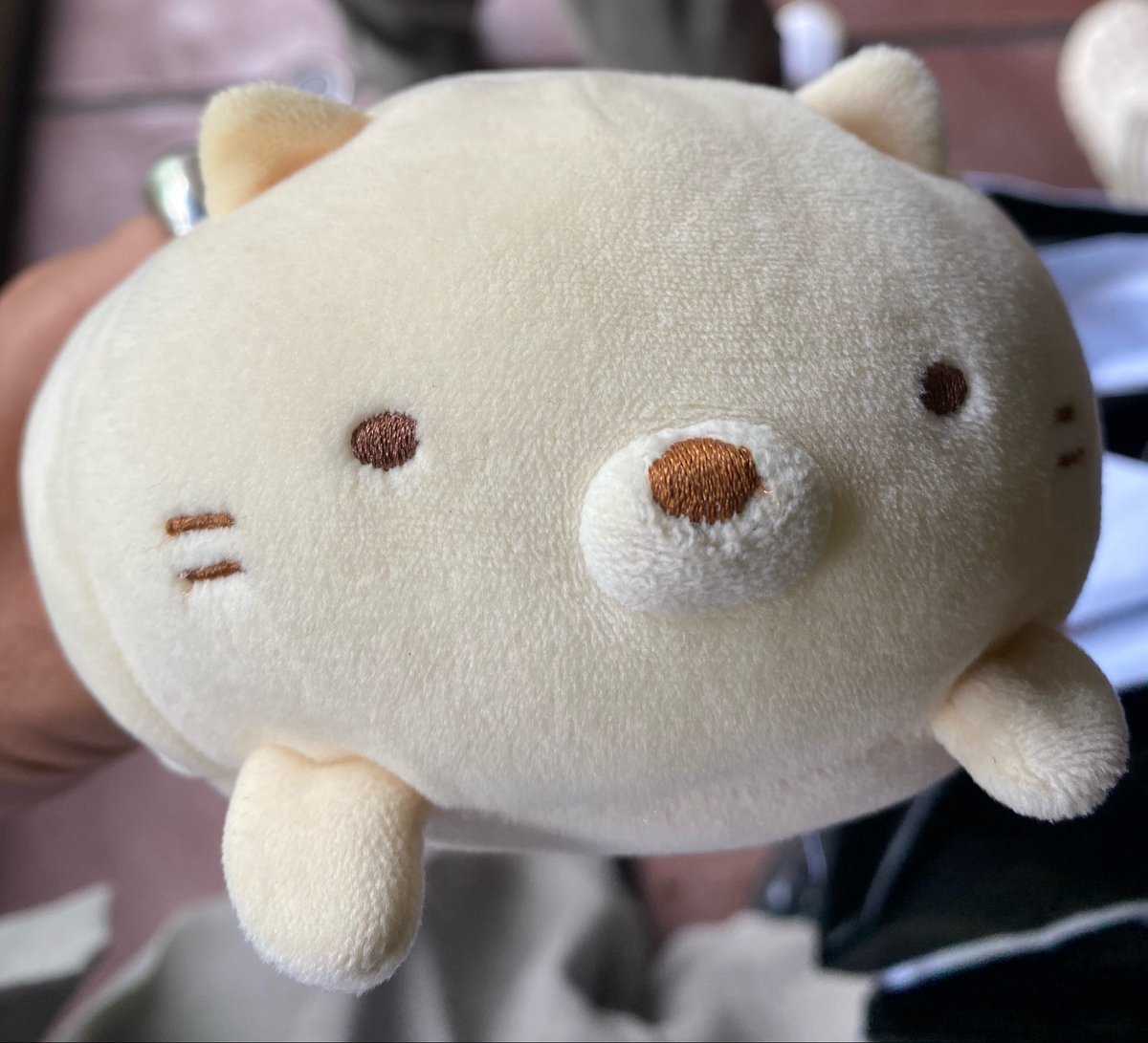 muton_uma's tweet photo. ぬいかつってやつ https://t.co/ddPaMzULcp